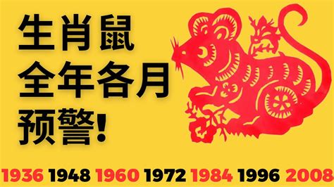 1984屬鼠|【1984屬鼠】1984屬鼠人2023、2024運勢解析，39歲必知！